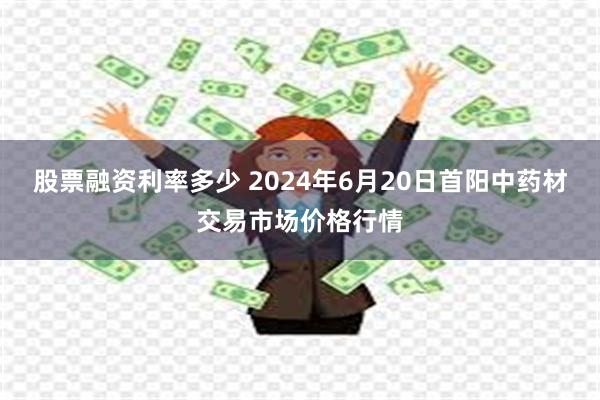 股票融资利率多少 2024年6月20日首阳中药材交易市场价格行情