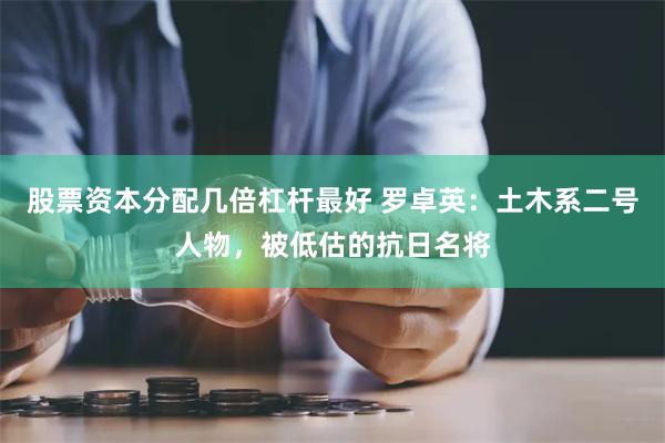 股票资本分配几倍杠杆最好 罗卓英：土木系二号人物，被低估的抗日名将