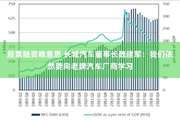 股票融资啥意思 长城汽车董事长魏建军：我们依然要向老牌汽车厂商学习