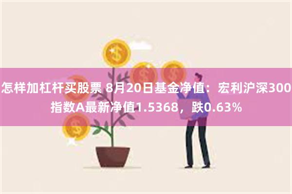 怎样加杠杆买股票 8月20日基金净值：宏利沪深300指数A最新净值1.5368，跌0.63%