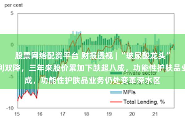 股票网络配资平台 财报透视 | “玻尿酸龙头”华熙生物上半年营利双降，三年来股价累加下跌超八成，功能性护肤品业务仍处变革深水区