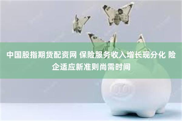 中国股指期货配资网 保险服务收入增长现分化 险企适应新准则尚需时间